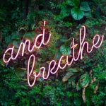 Retreat Calm - and breathe neon sign on tre