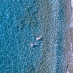 Calm Waves - a group of people swimming in the ocean